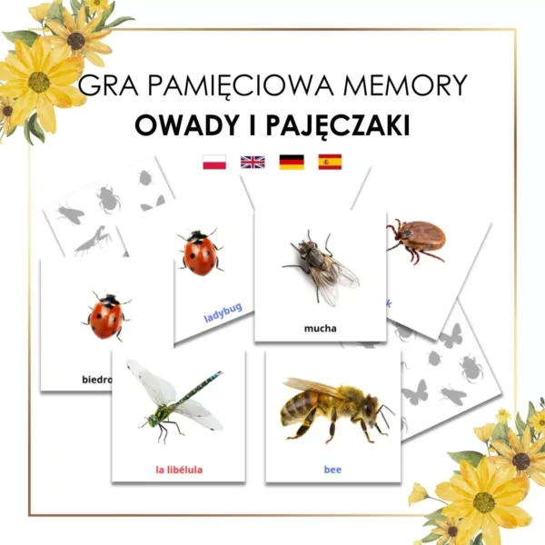 gra pamięciowa owady i pajęczaki po polsku, angielsku, niemiecku i hiszpańsku