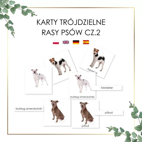 Karty Montessori rasy psów, buldog amerykański, foksterier, pitbul