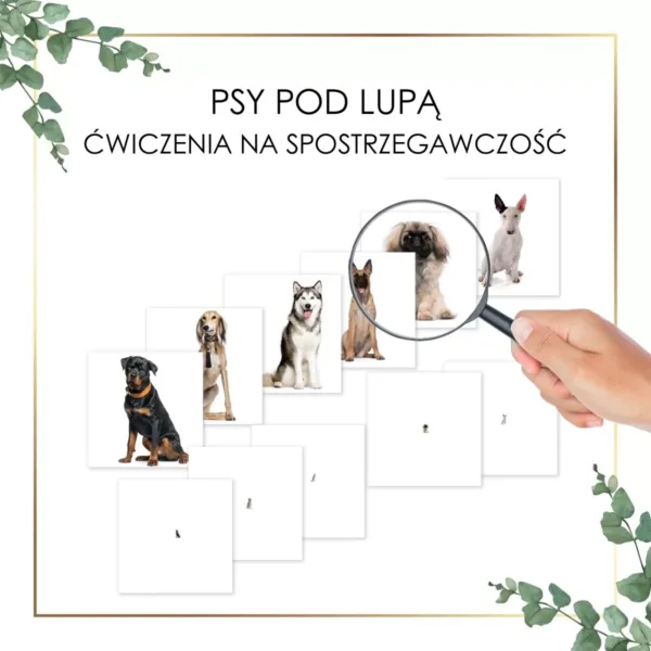 psy pod lupą ćwiczenia na spostrzegawczość