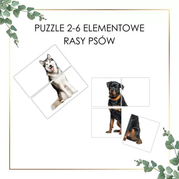 psy puzzle Montessori do druku rasy psów husky syberyjski rottwailer