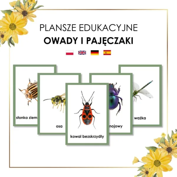 plansze edukacyjne Montessori owady i pajęczaki po polsku, angielsku, niemiecku, hiszpańsku