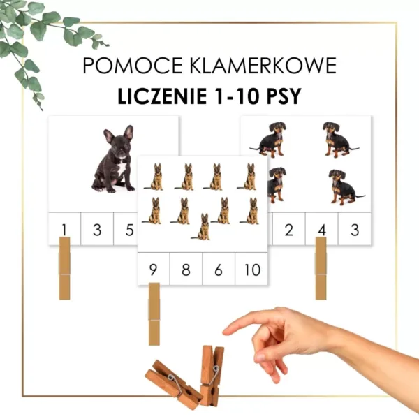 Psy liczenie pomoce klamerkowe liczenie od 1 do 10 zgodnie z pedagogiką Montessori