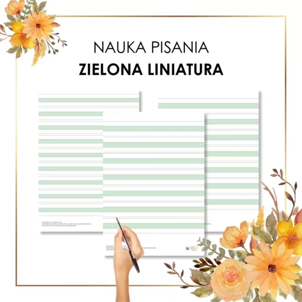 zielona liniatura do nauki pisania Montessori ćwiczenia pisania w liniaturze