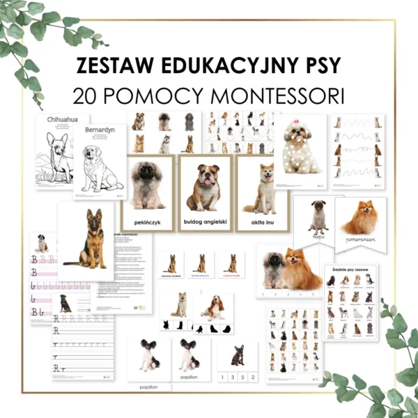 psy materiały edukacyjne do druku zestaw 20 pomocy Montessori dla przedszkolaka