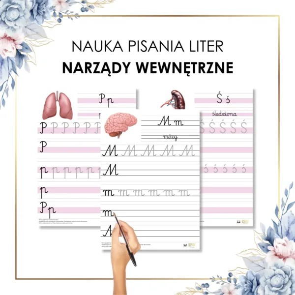 Narządy wewnętrzne literki do nauki pisania do druku PDF metoda Montessori