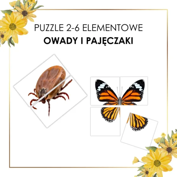 owady i pajęczaki puzzle Montessori 2-6 elementowe dla przedszkolaków