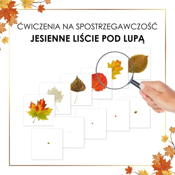 jesienne liście pod lupą ćwiczenia na spostrzegawczość wzrokową dla dzieci karty pracy ćwiczenia percepcji wzrokowej do druku