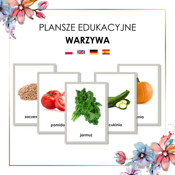 warzywa plansze edukacyjne Montessori karty obrazkowe z warzywami