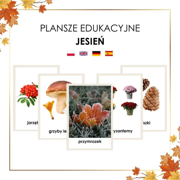 plansze edukacyjne jesień w obrazkach