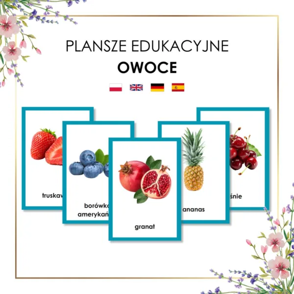 owoce plansze edukacyjne dla dzieci do druku i wydrukowane na Światowy Dzień Owoców