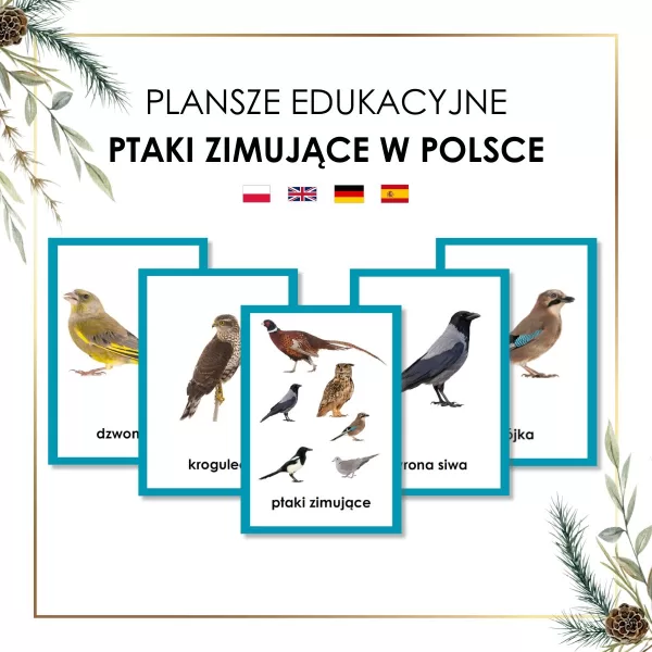 ptaki zimujące w Polsce plansze edukacyjne do druku i gotowe